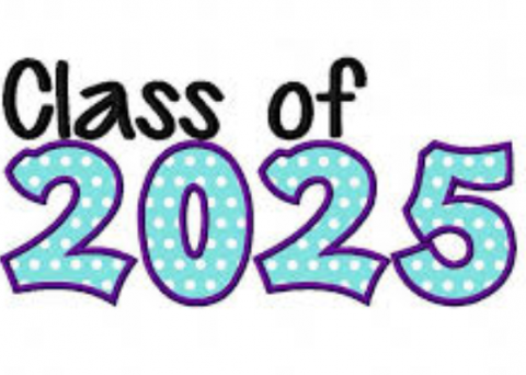 Class Of 2025 Course Selection Info Land O Lakes High School Class Of 2025 Course Selection Info Land O Lakes High School